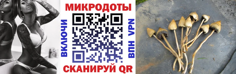 Галлюциногенные грибы MAGIC MUSHROOMS  Купить  Баймак 